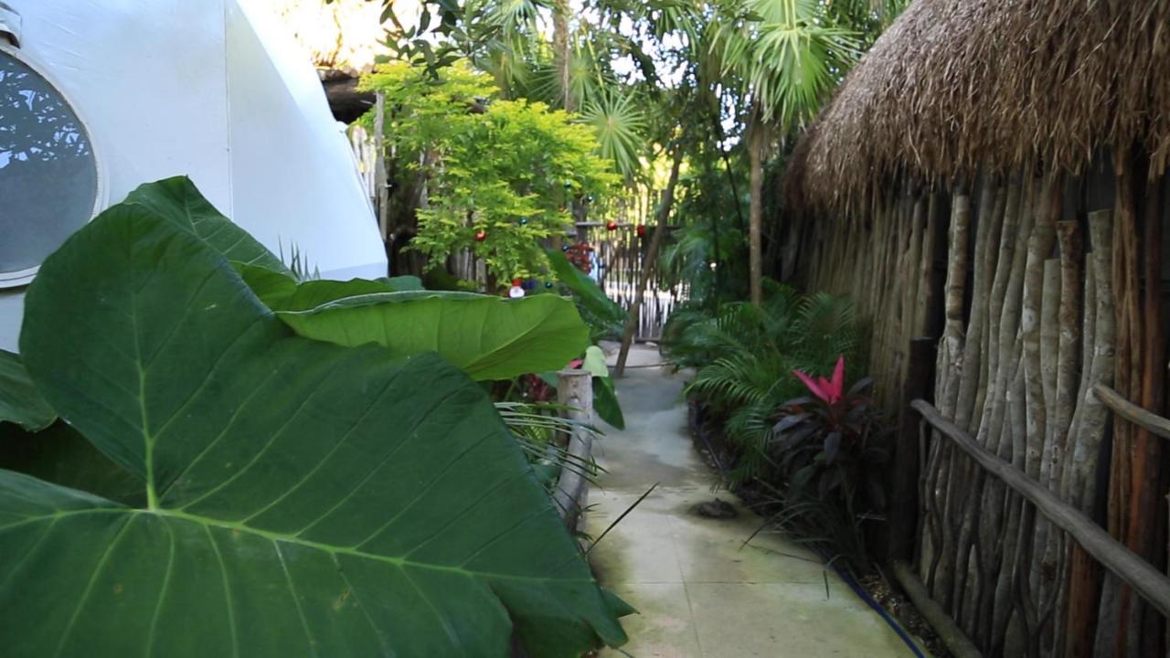 Hotel Glamping Tulum With Private Mini Pool Esterno foto